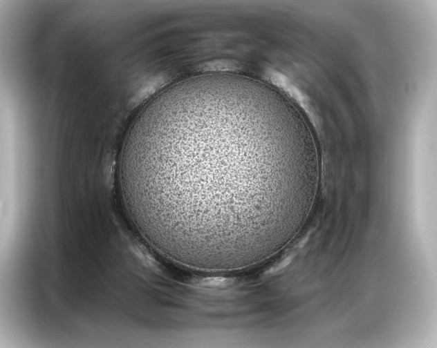 X0000086970153200704301304