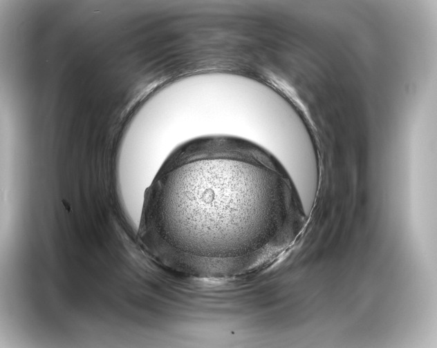 X0000086970154200704301304