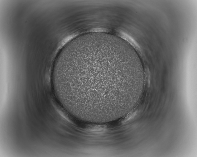 X0000086970155200704301304