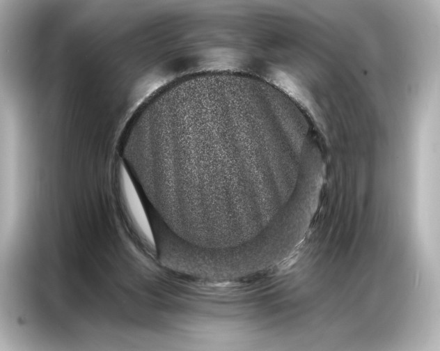 X0000086970156200704301304