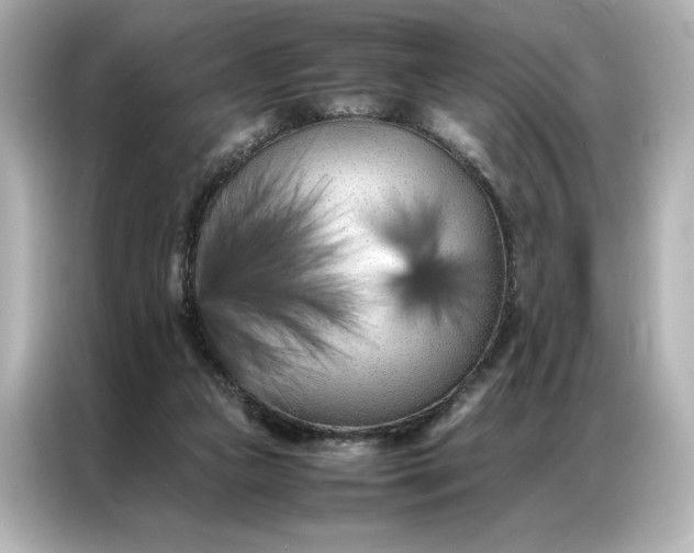 X0000086970161200704301304