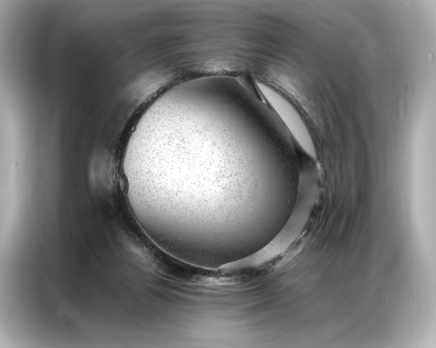 X0000086970164200704301304