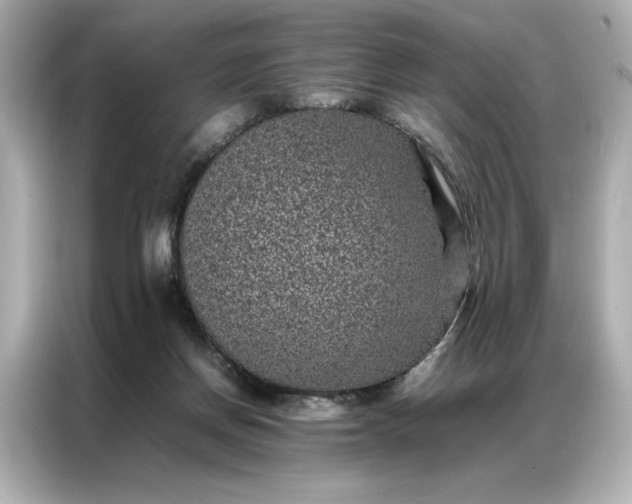 X0000086970166200704301305