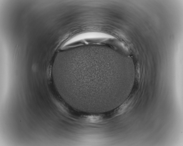 X0000086970168200704301305