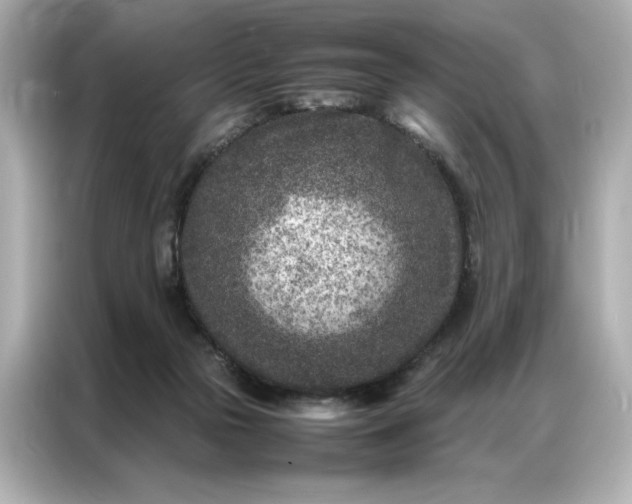 X0000086970169200704301305