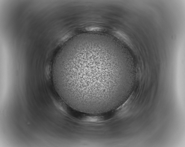 X0000086970171200704301305