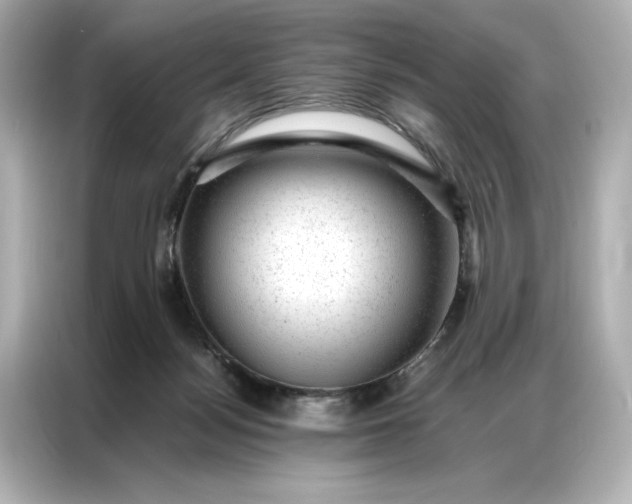 X0000086970172200704301305