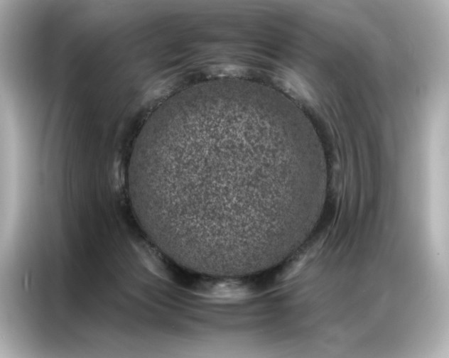 X0000086970173200704301305