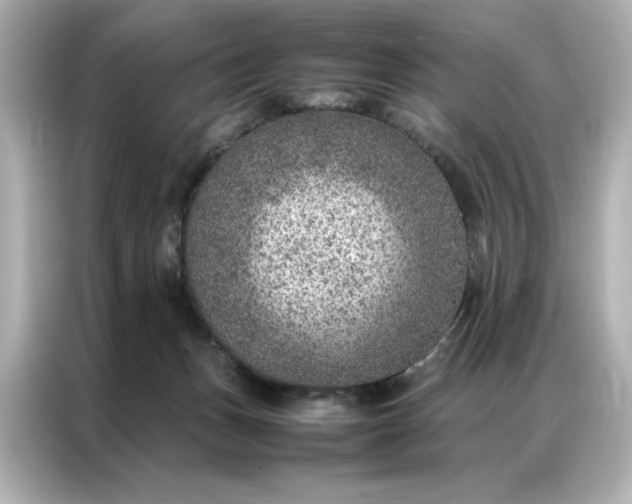 X0000086970175200704301305