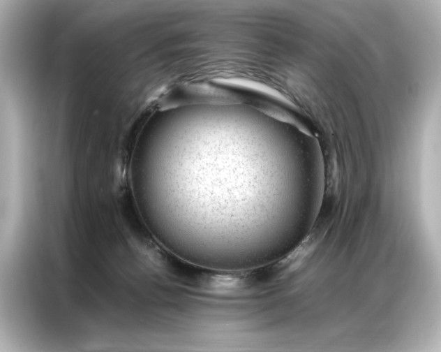 X0000086970176200704301305