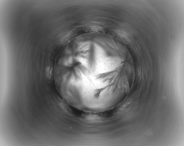 X0000086970177200704301305