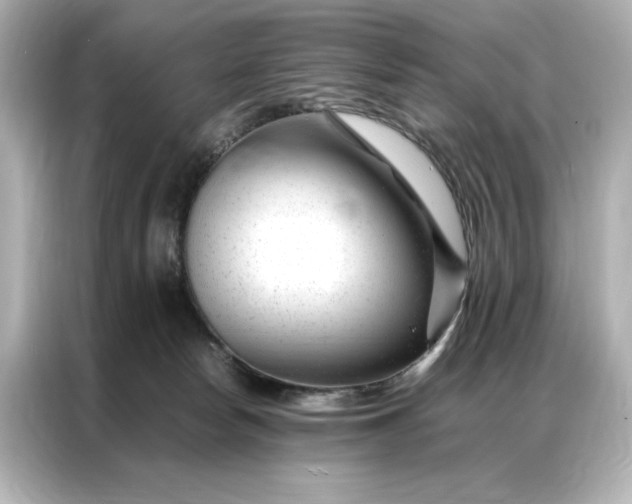 X0000086970178200704301305