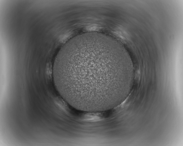 X0000086970179200704301305