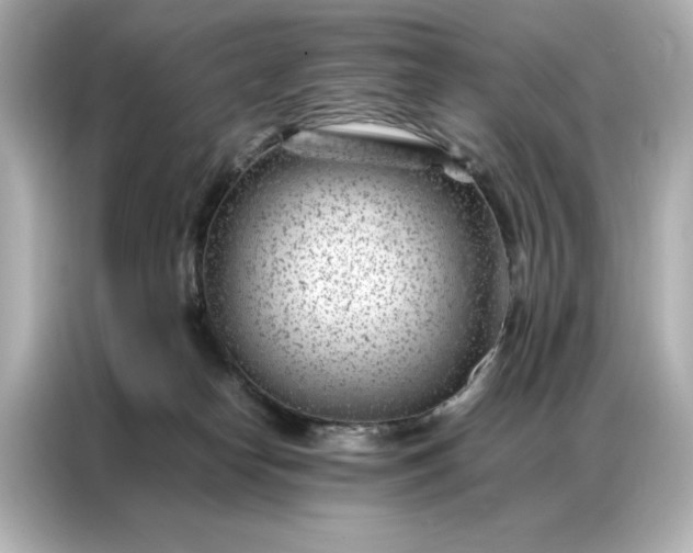 X0000086970182200704301305