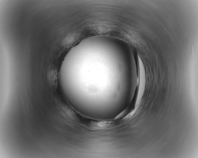 X0000086970184200704301305