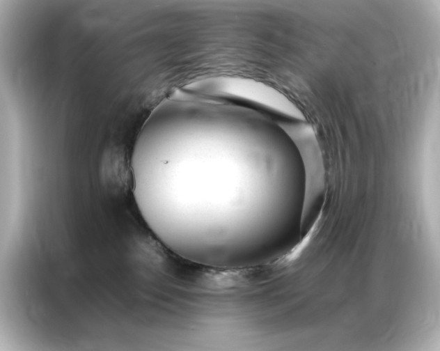 X0000086970186200704301305