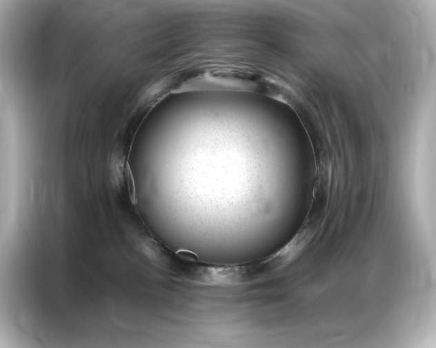 X0000086970188200704301305