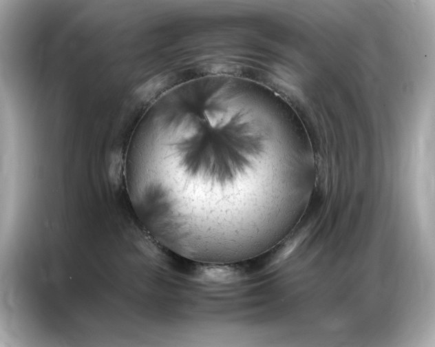 X0000086970189200704301305