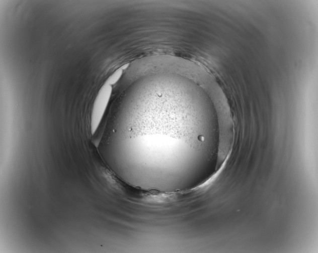 X0000086970190200704301305