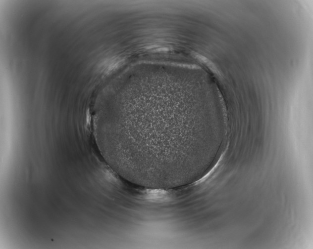 X0000086970192200704301305