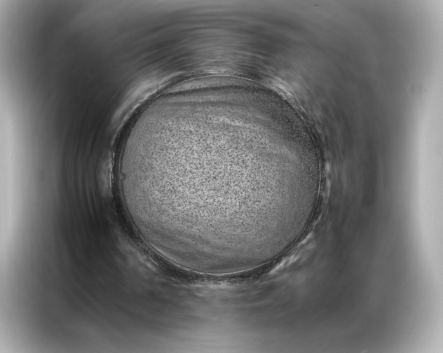 X0000086970194200704301304