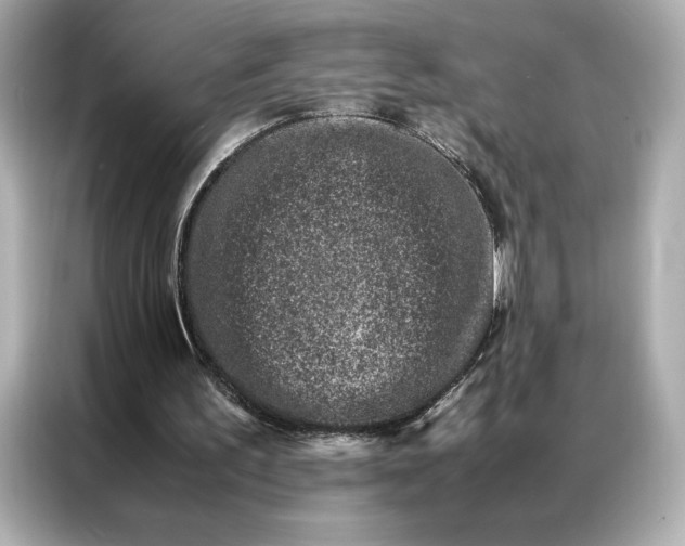 X0000086970195200704301304