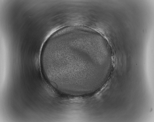 X0000086970196200704301304