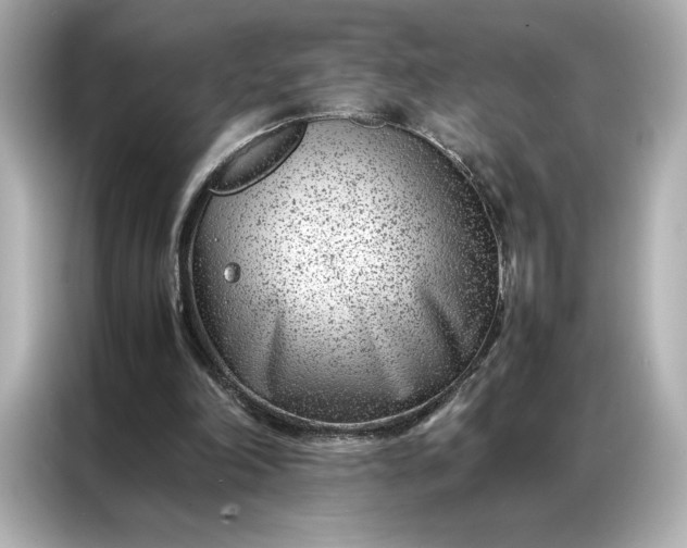 X0000086970198200704301304