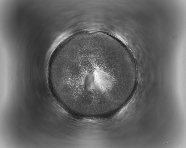 X0000086970199200704301304