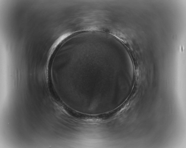 X0000086970200200704301304