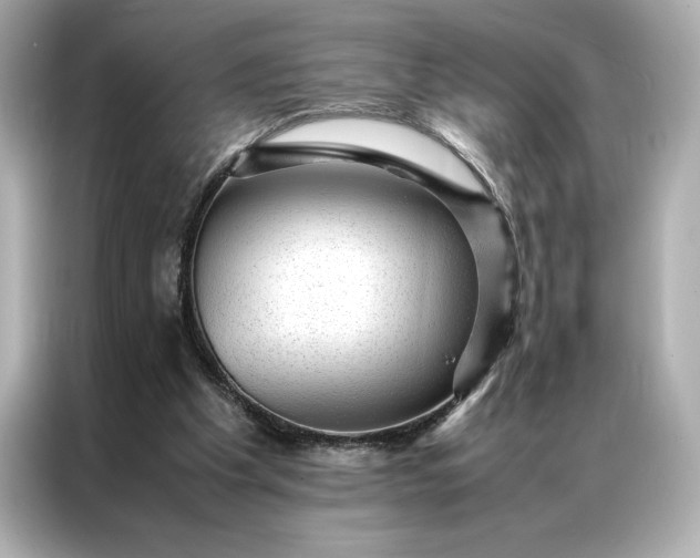 X0000086970201200704301304