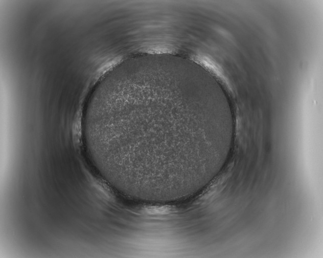 X0000086970202200704301304