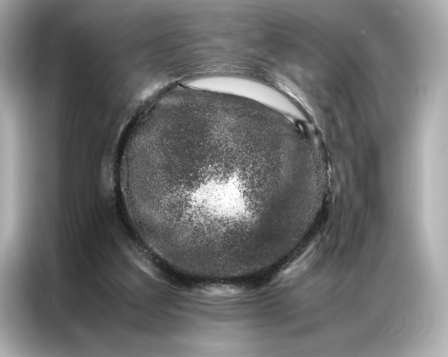 X0000086970203200704301304