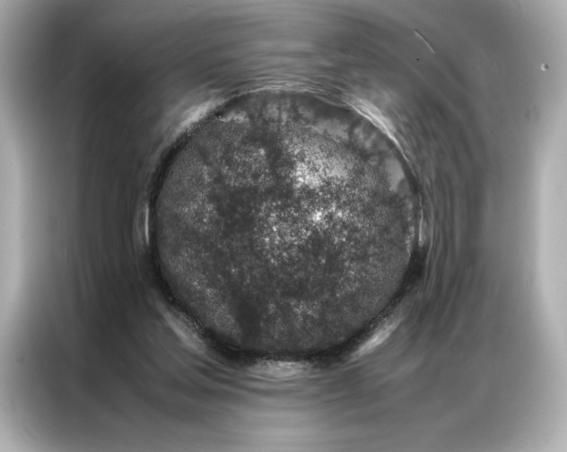 X0000086970205200704301304