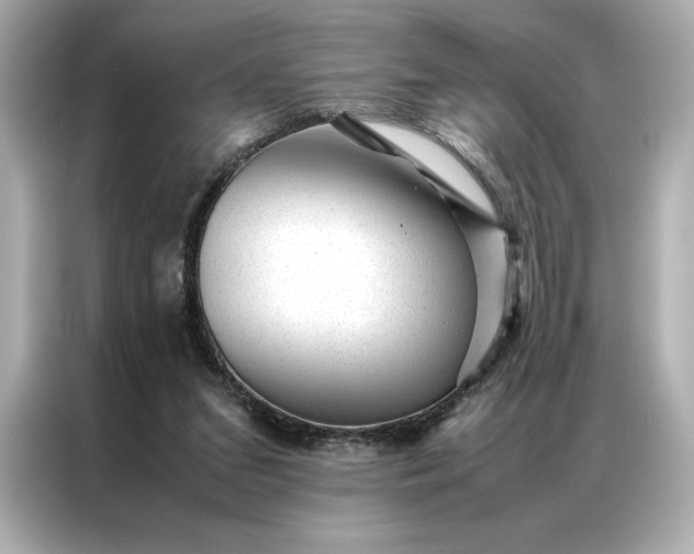 X0000086970207200704301304