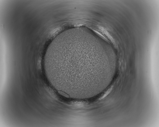 X0000086970209200704301304