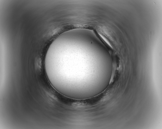 X0000086970211200704301304