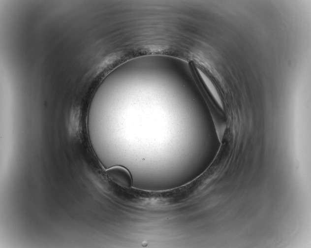 X0000086970212200704301304