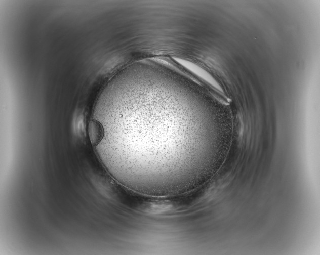 X0000086970214200704301304