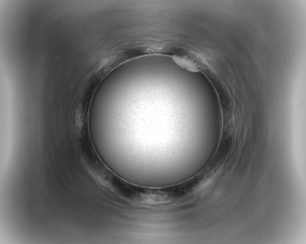 X0000086970215200704301304