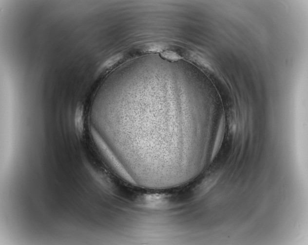 X0000086970216200704301304