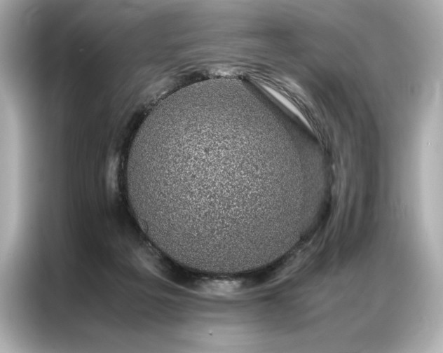 X0000086970217200704301304