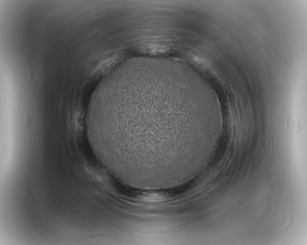 X0000086970218200704301304