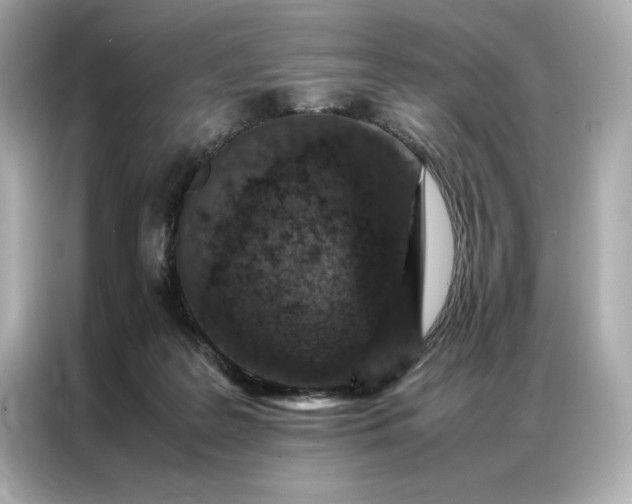 X0000086970219200704301304