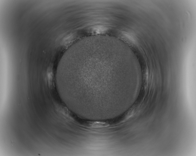 X0000086970222200704301304