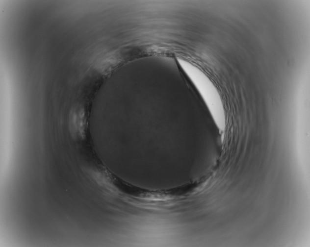 X0000086970223200704301304