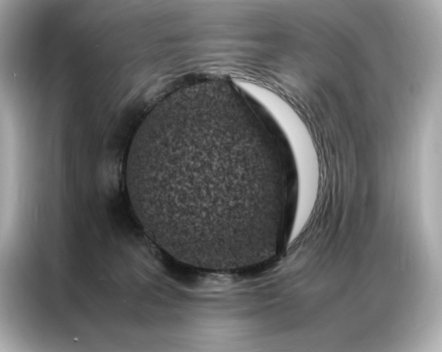 X0000086970227200704301304