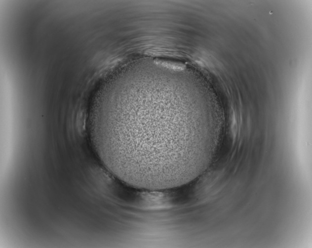 X0000086970230200704301304