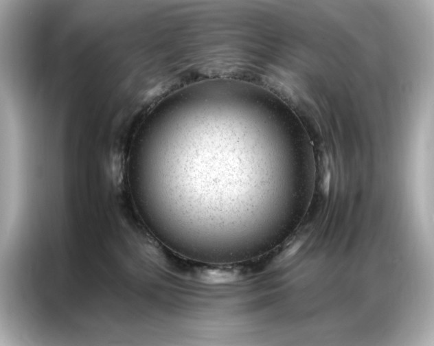 X0000086970232200704301304