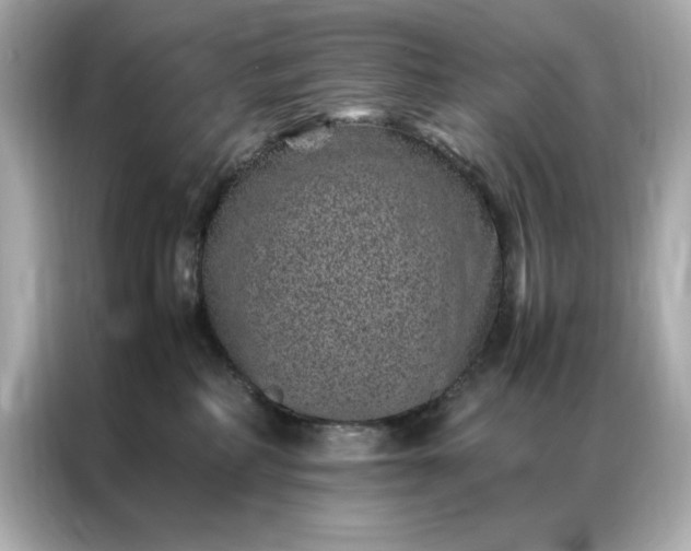 X0000086970234200704301304